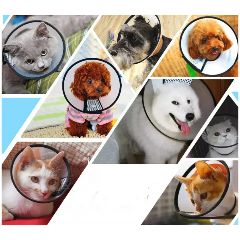 Pet Cone Elizabeth Protective Collar Wound Healing Protection Cone for Dogs E Collar.