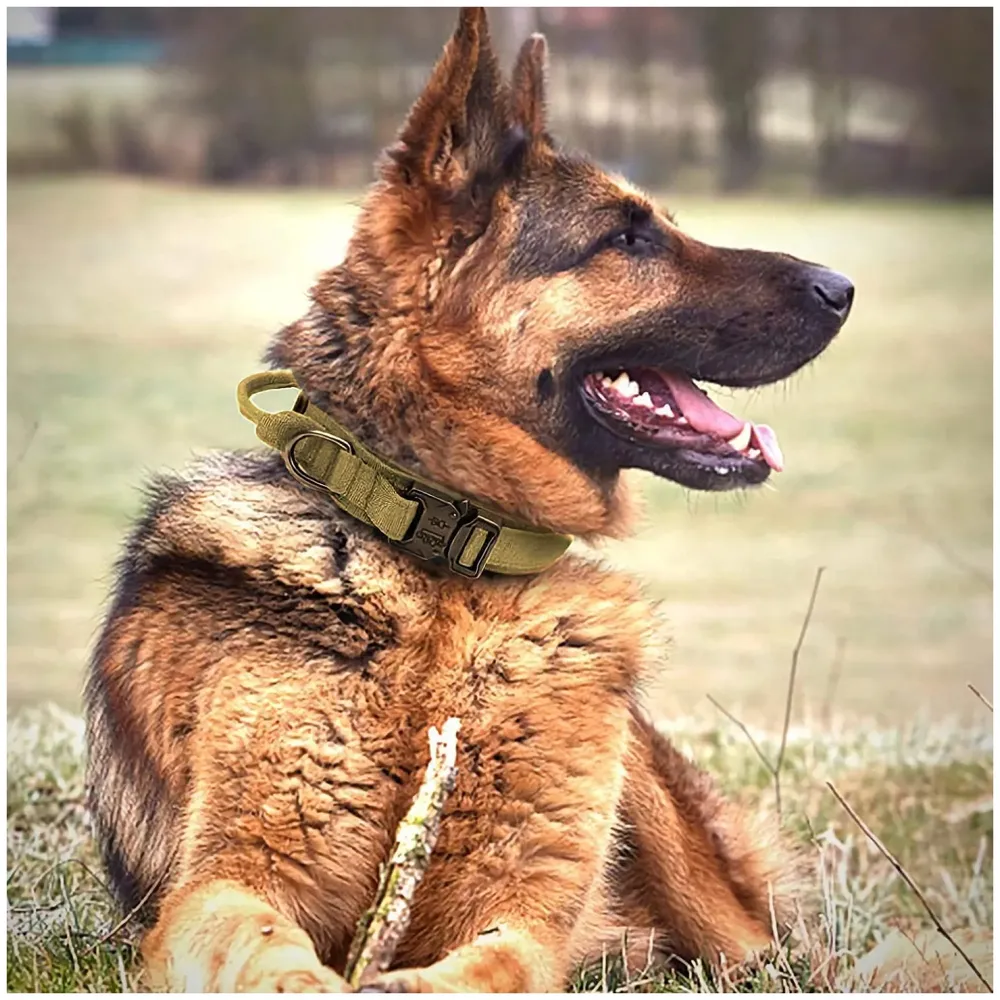 Adjustable Dog Collar Military Dog Collar Made of Nylon with a Handle Strap Metal Buckle Quick Release Dog Training Collar