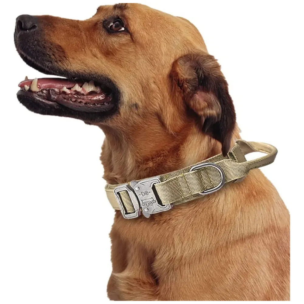 Adjustable Dog Collar Military Dog Collar Made of Nylon with a Handle Strap Metal Buckle Quick Release Dog Training Collar
