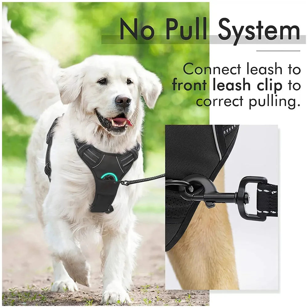 Dog Harness Combo Vest and Leash Breathable Adjustable Dog Body Belt No Pulling No Chock Oxford Fabric for Labradors, Golden Retriever, German Shepherd, Black