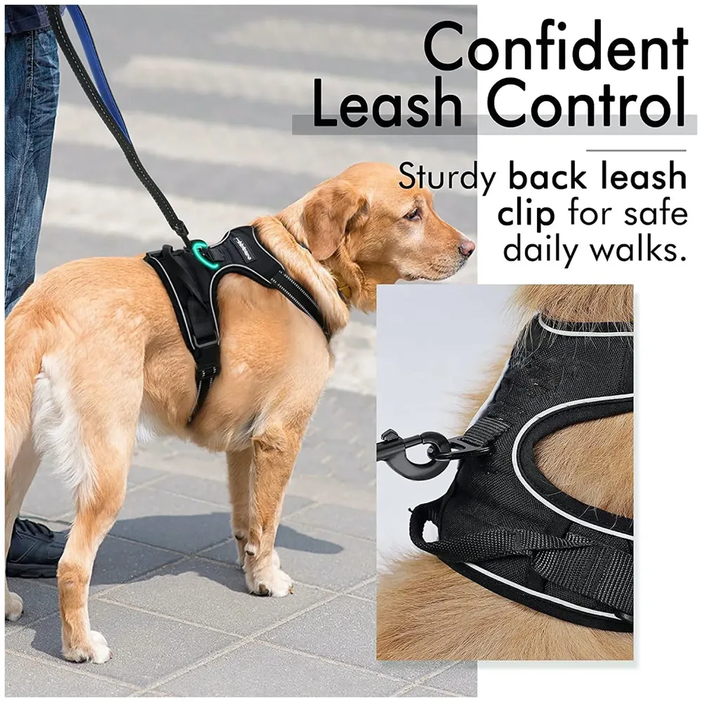 Dog Harness Combo Vest and Leash Breathable Adjustable Dog Body Belt No Pulling No Chock Oxford Fabric for Labradors, Golden Retriever, German Shepherd, Black