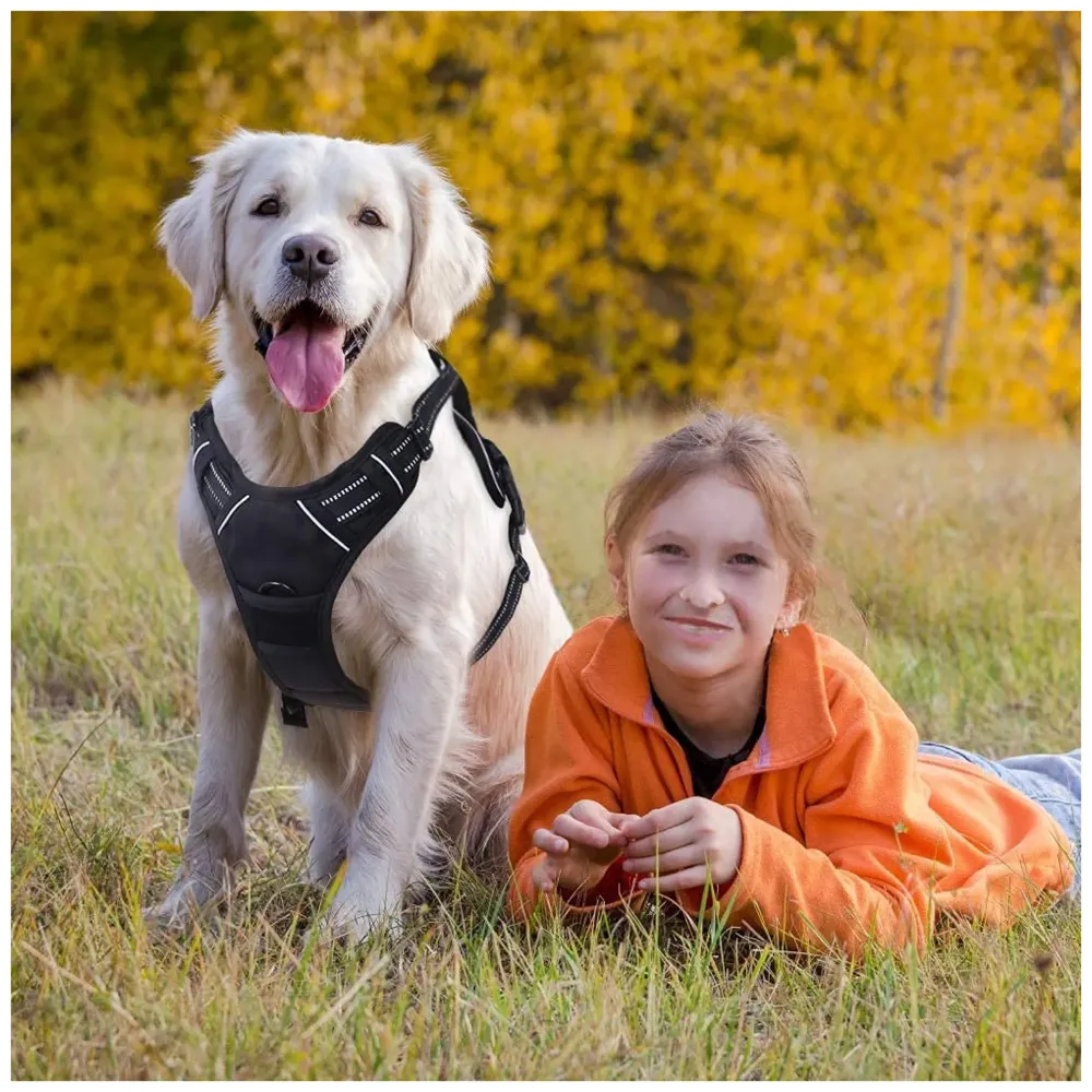 Dog Harness Combo Vest and Leash Breathable Adjustable Dog Body Belt No Pulling No Chock Oxford Fabric for Labradors, Golden Retriever, German Shepherd, Black