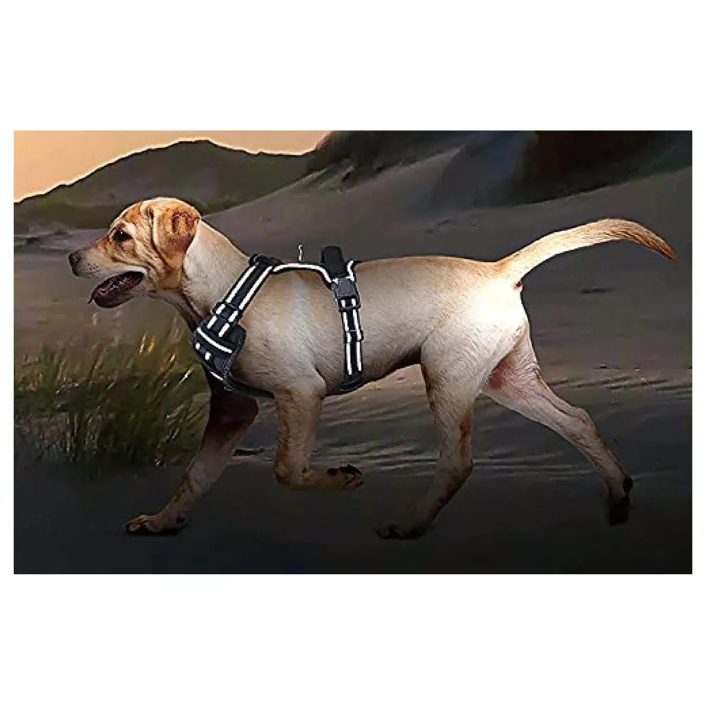 Dog Harness Combo Vest and Leash Breathable Adjustable Dog Body Belt No Pulling No Chock Oxford Fabric for Labradors, Golden Retriever, German Shepherd, Black