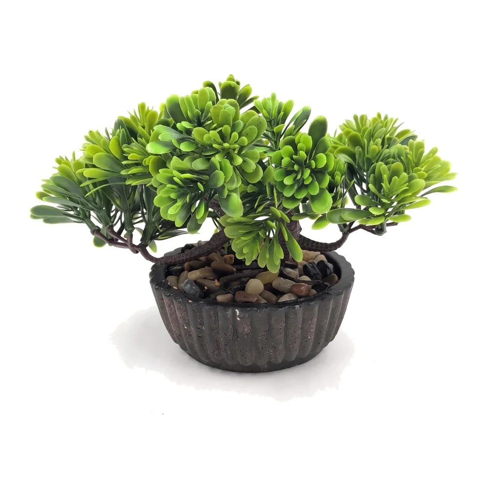 Bonsai Artificial Dwarf Tree ~ Artificial Plants with Pot and Grass Ideal for Home Décor. with Realistic Detailing Size 15 cm x 15 cm (Dark Green)