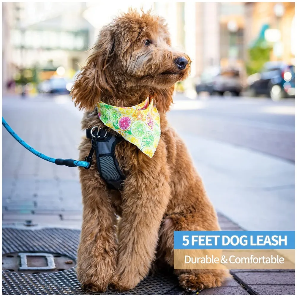5 Ft Braided Strong Padded Comfortable Leash (Blue)