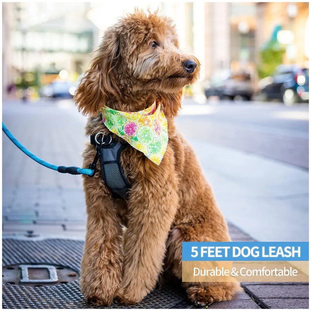 Braided 4 Ft, Strong Dog Leash with Comfortable Padded Handle and Highly Reflective Threads for Small Medium and Large Dogs. (Light Blue)