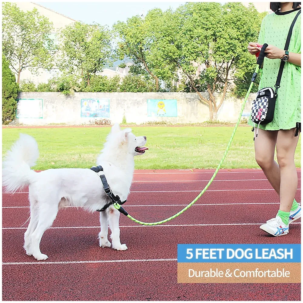 Braided 4 Ft, Strong Dog Leash with Comfortable Padded Handle and Highly Reflective Threads for Small Medium and Large Dogs. (Green)