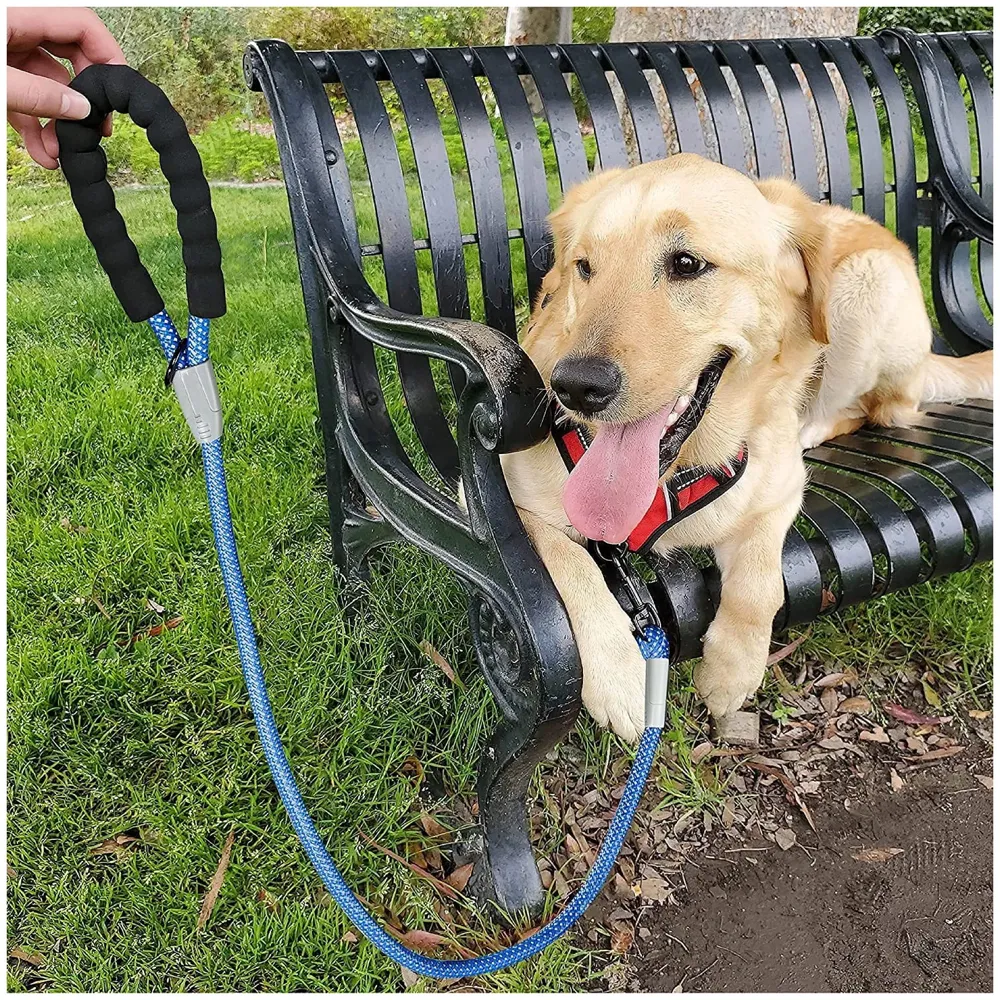 Braided 4 Ft, Strong Dog Leash with Comfortable Padded Handle and Highly Reflective Threads for Small Medium and Large Dogs. (Dark Blue)