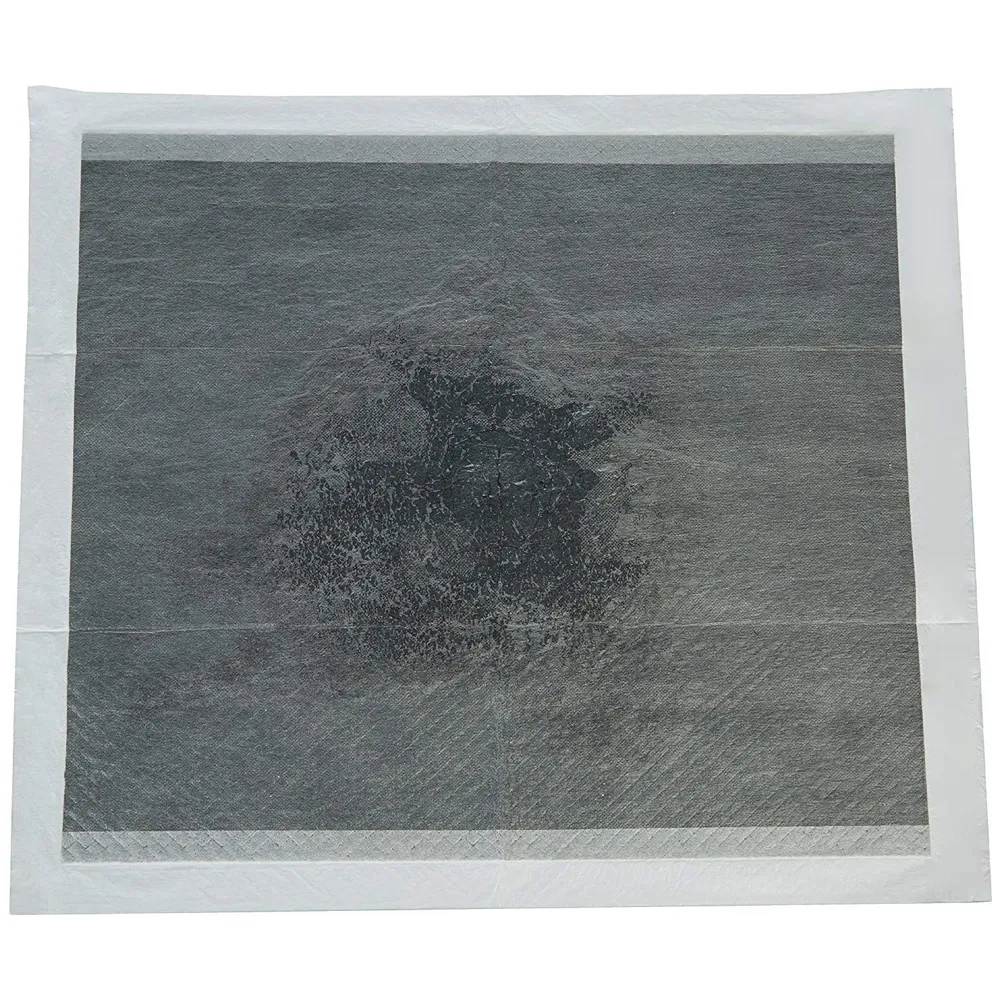 Puppy Carbon Activated Training Pad ~ Pee Pads Ideal for and Potty Training Odour Less (Carbon 60 x 60 Cms, 20)
