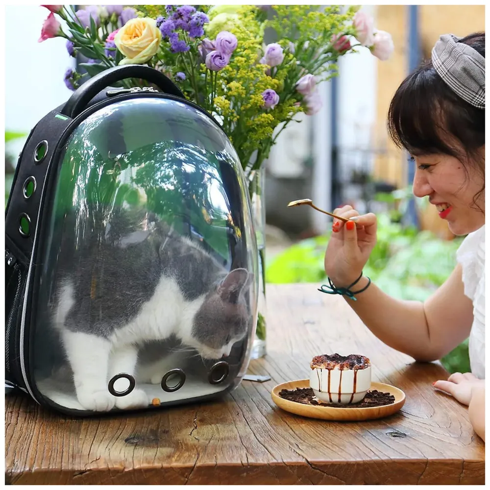 Creative Transparent Pet Backpack Carrier Breathable Capsule Traveller for Cats and Small Dogs. (Black)