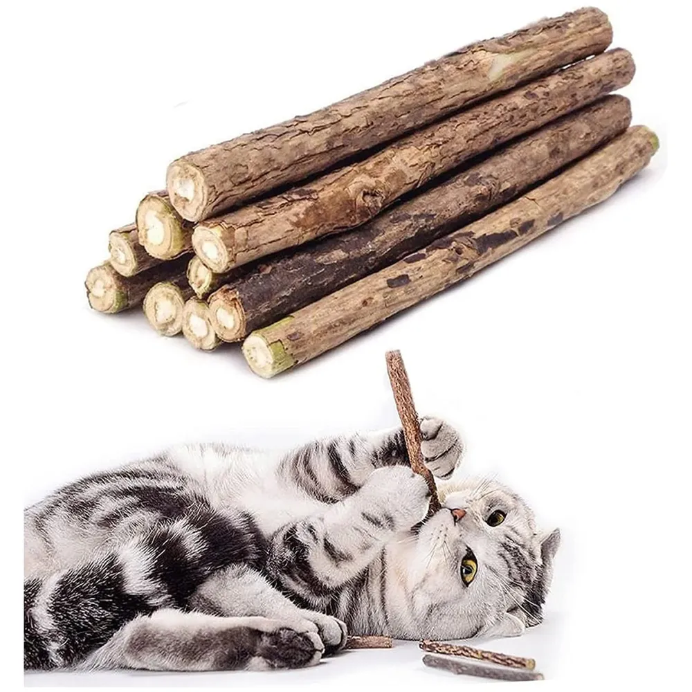 Catnip Sticks 5 Pcs Kitten Cat Toys Silvervine Sticks Kitty Wooden Stick Teething Toys Molar Suitable for Cats of All Ages Chew Toys (5 Sticks - 5 Inch)