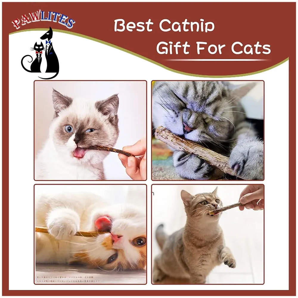 Catnip Sticks 5 Pcs Kitten Cat Toys Silvervine Sticks Kitty Wooden Stick Teething Toys Molar Suitable for Cats of All Ages Chew Toys (5 Sticks - 5 Inch)