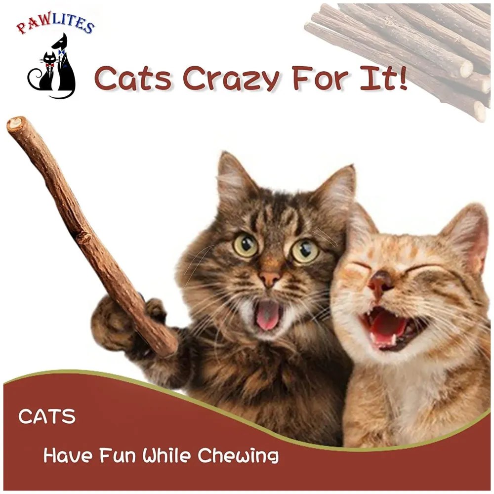 Catnip Sticks 5 Pcs Kitten Cat Toys Silvervine Sticks Kitty Wooden Stick Teething Toys Molar Suitable for Cats of All Ages Chew Toys (5 Sticks - 5 Inch)