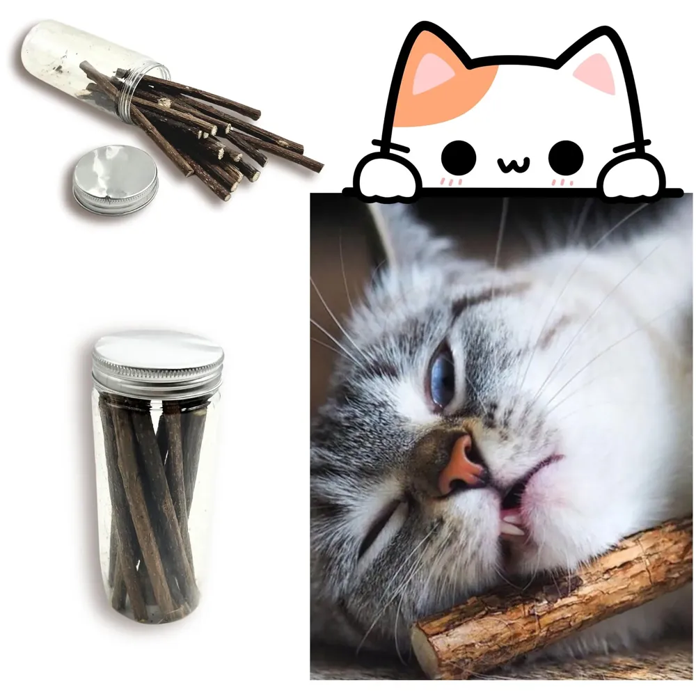 Catnip Sticks 15 Pcs Kitten Cat Toys Silvervine Teething Toys Molar Suitable for Cats of All Ages Chew Toy with Box.