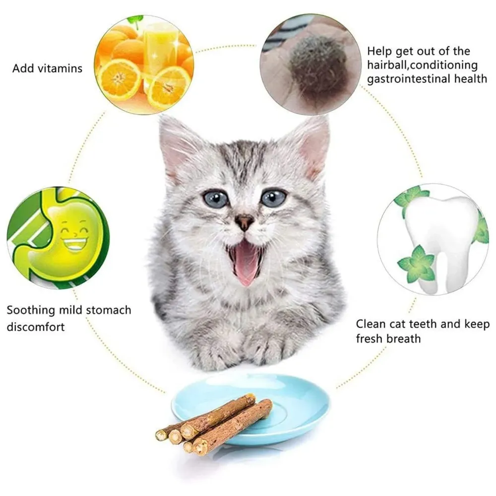 Catnip Sticks 15 Pcs Kitten Cat Toys Silvervine Teething Toys Molar Suitable for Cats of All Ages Chew Toy with Box.
