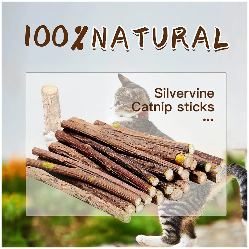 Catnip Sticks 15 Pcs Kitten Cat Toys Silvervine Teething Toys Molar Suitable for Cats of All Ages Chew Toy with Box.