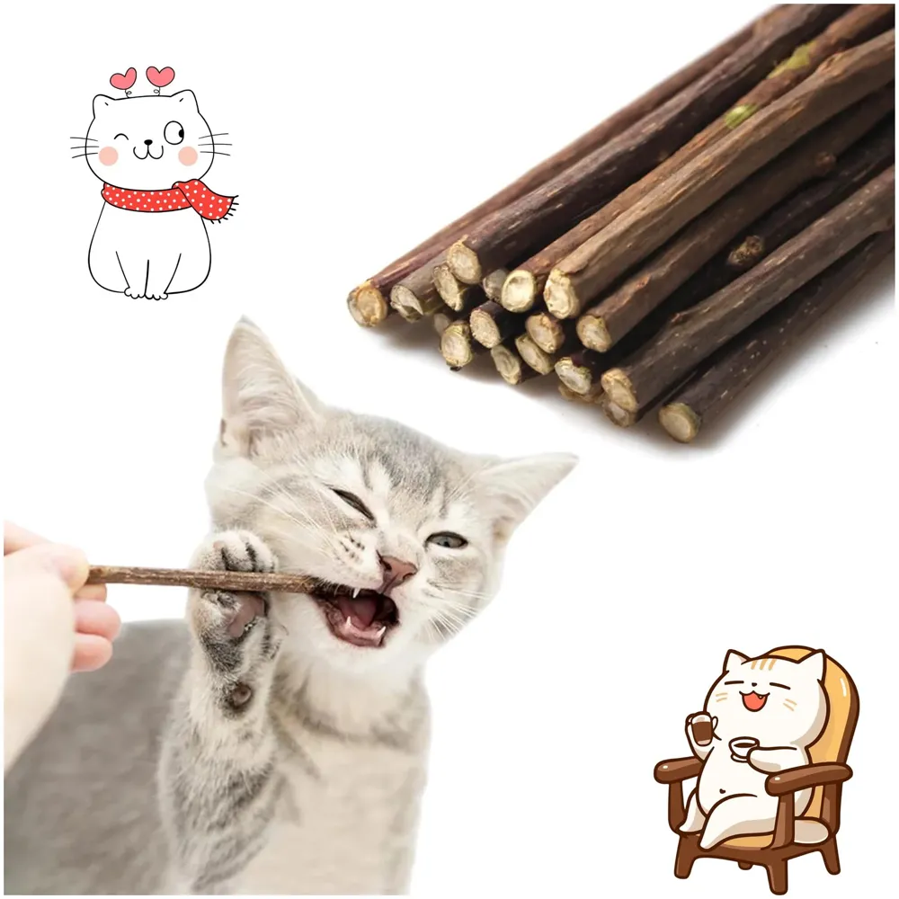 Catnip Sticks 15 Pcs Kitten Cat Toys Silvervine Teething Toys Molar Suitable for Cats of All Ages Chew Toy with Box.