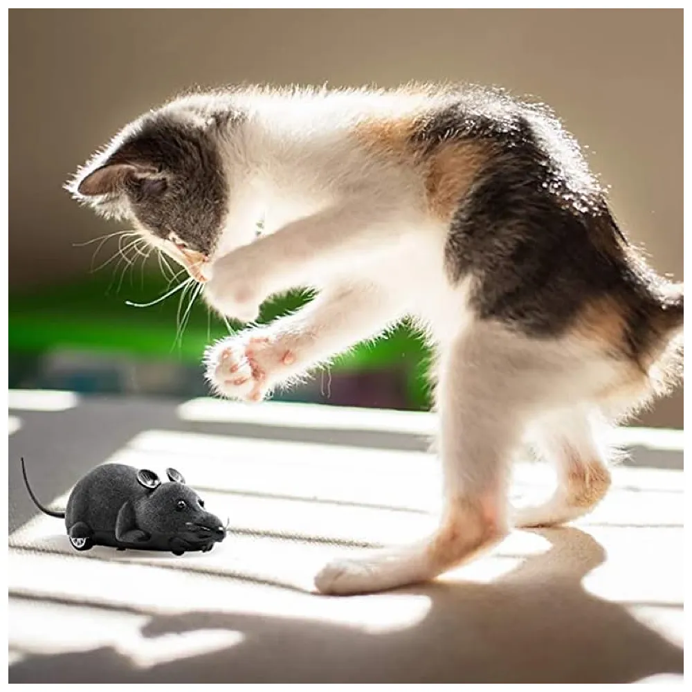 Remote Control Cat Toy, Mouse Shaped, Interactive Play Chasing Running Play time