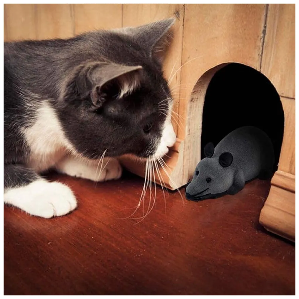 Remote Control Cat Toy, Mouse Shaped, Interactive Play Chasing Running Play time