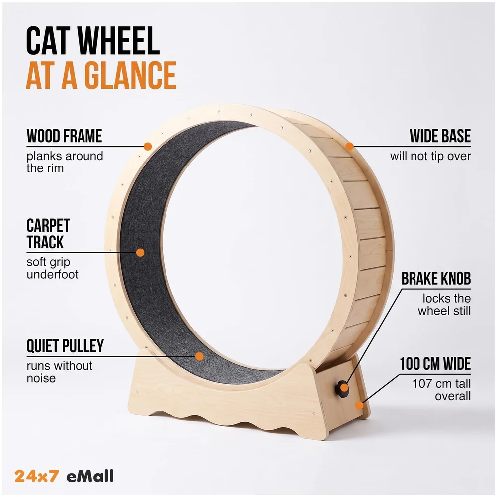 Large Cat Exercise and Running Wheel 40 Inch for Indoor, Sturdy Cat Treadmill Wheel with Locking Mechanism，Stable & Quiet Running for Cat's Healthy 100 Cm Diameter (40 Inch) Premium