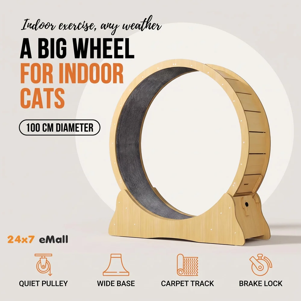 Large Cat Exercise and Running Wheel 40 Inch for Indoor, Sturdy Cat Treadmill Wheel with Locking Mechanism，Stable & Quiet Running for Cat's Healthy 100 Cm Diameter (40 Inch)