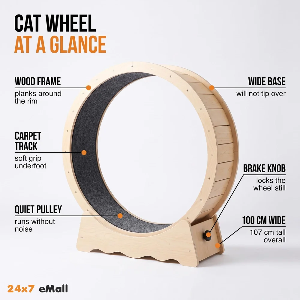Large Cat Exercise and Running Wheel 40 Inch for Indoor, Sturdy Cat Treadmill Wheel with Locking Mechanism，Stable & Quiet Running for Cat's Healthy 100 Cm Diameter (40 Inch)