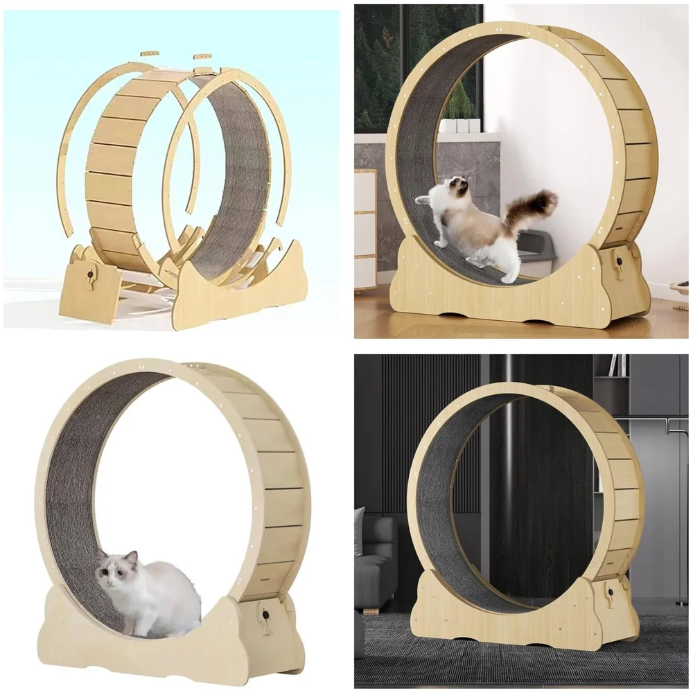 Large Cat Exercise and Running Wheel 40 Inch for Indoor, Sturdy Cat Treadmill Wheel with Locking Mechanism，Stable & Quiet Running for Cat's Healthy 100 Cm Diameter (40 Inch)