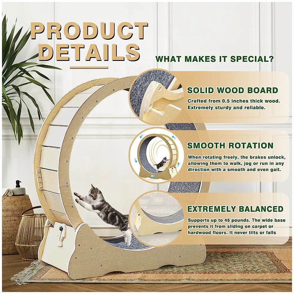 Large Cat Exercise and Running Wheel 40 Inch for Indoor, Sturdy Cat Treadmill Wheel with Locking Mechanism，Stable & Quiet Running for Cat's Healthy 100 Cm Diameter (40 Inch)