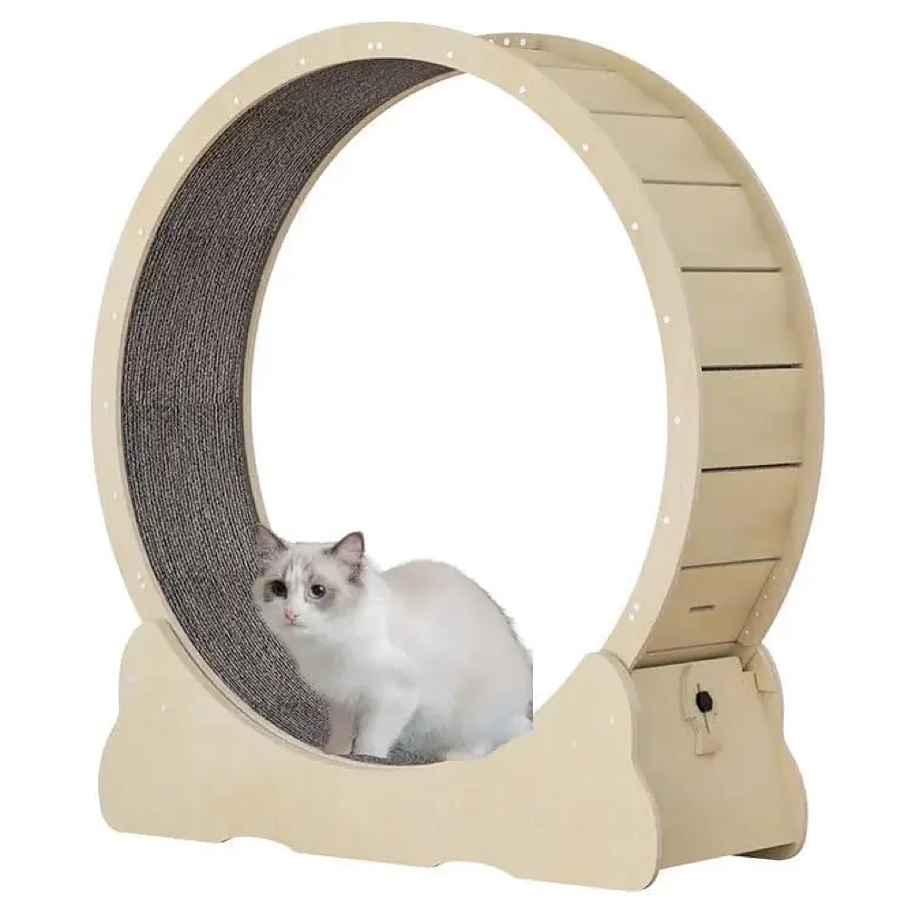 Large Cat Exercise and Running Wheel 40 Inch for Indoor, Sturdy Cat Treadmill Wheel with Locking Mechanism，Stable & Quiet Running for Cat's Healthy 100 Cm Diameter (40 Inch)