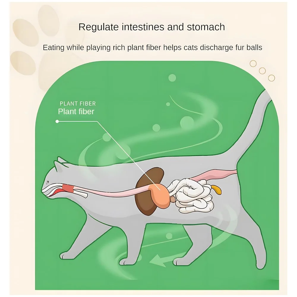 Silvervine Catnip Ball for Cats Premium