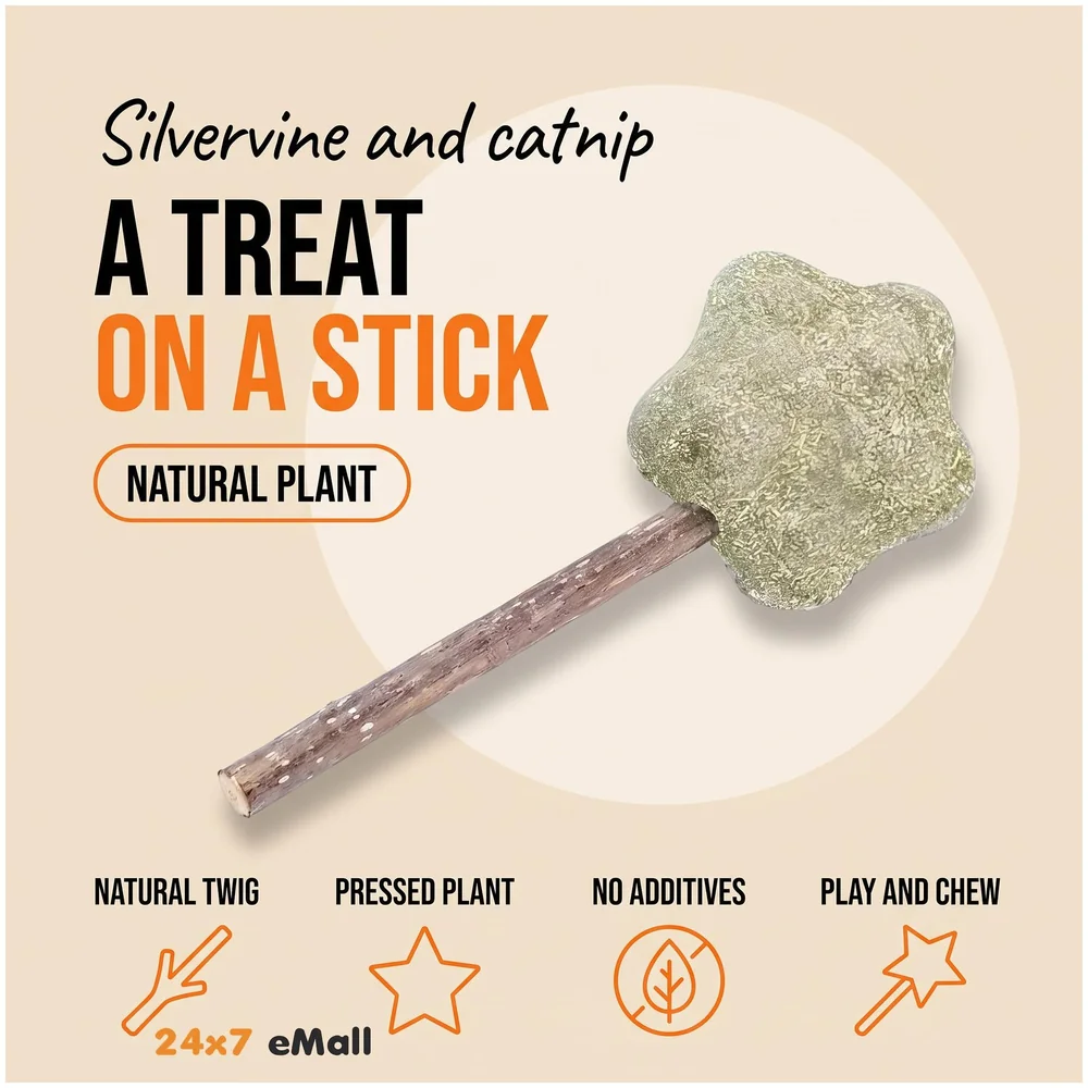 Silvervine Catnip Ball for Cats Premium