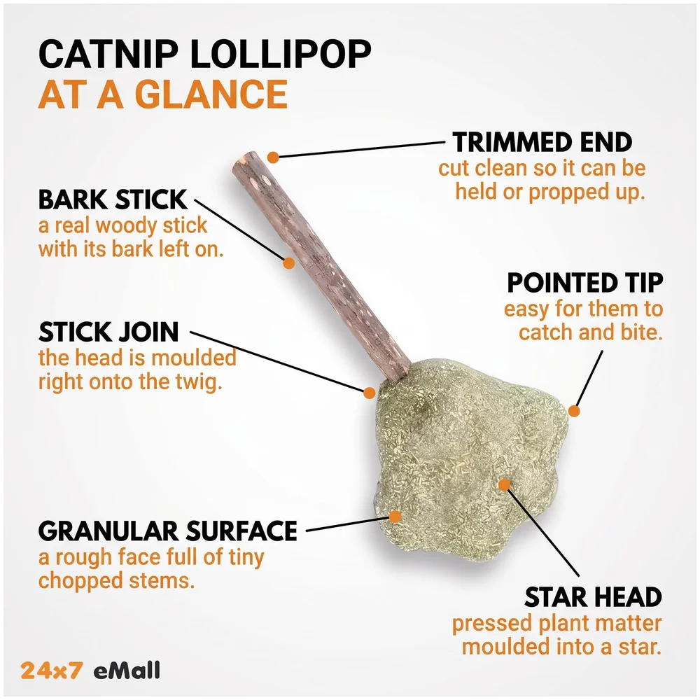 Silvervine Catnip Ball for Cats Premium
