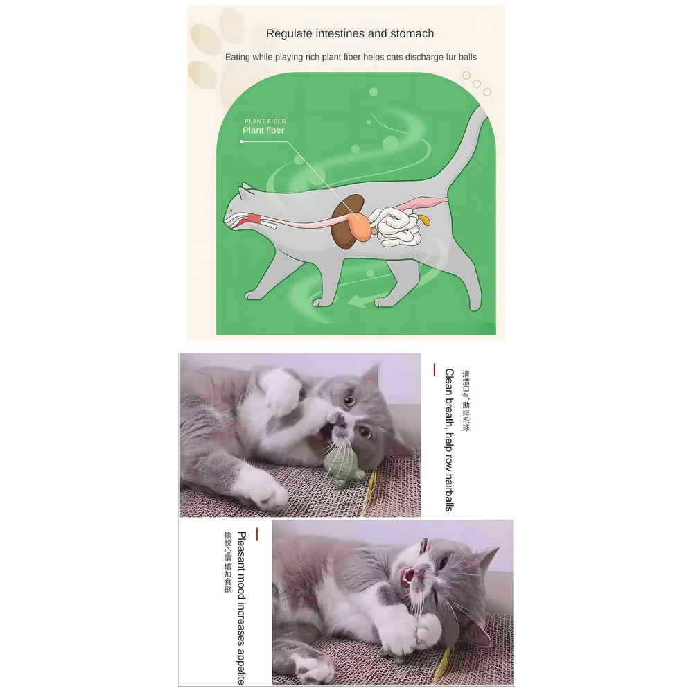 Silvervine Catnip Ball for Cats Premium