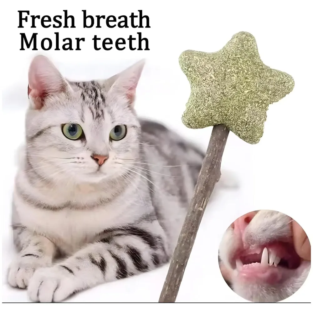 Silvervine Catnip Ball for Cats, Teeth Cleaning Molar Toy, Stick-On Rotating Lollipop Cat Toy for Indoor Cats & Kittens ​