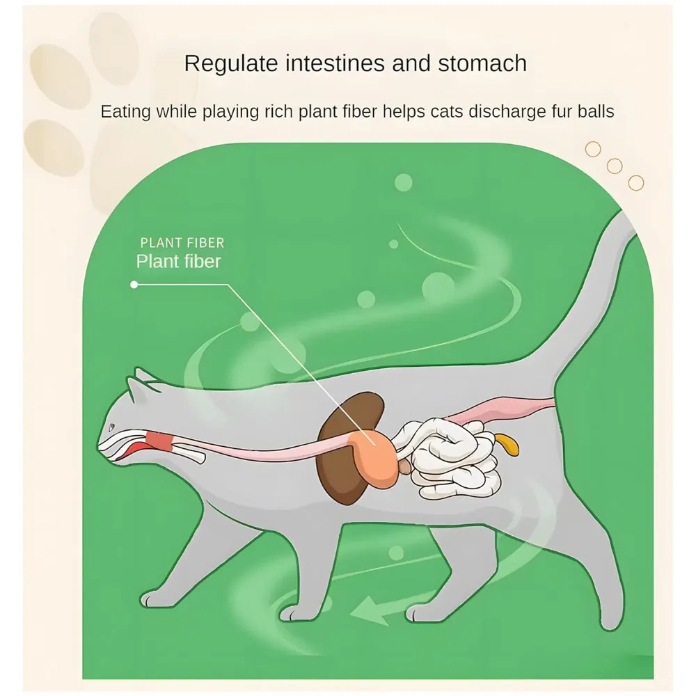 Silvervine Catnip Ball for Cats, Teeth Cleaning Molar Toy, Stick-On Rotating Lollipop Cat Toy for Indoor Cats & Kittens ​
