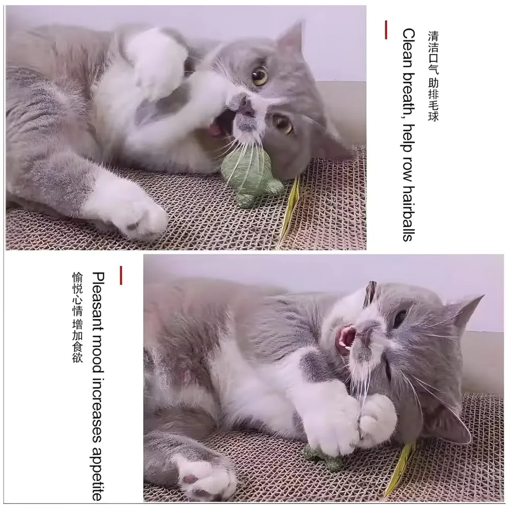 Silvervine Catnip Ball for Cats, Teeth Cleaning Molar Toy, Stick-On Rotating Lollipop Cat Toy for Indoor Cats & Kittens ​