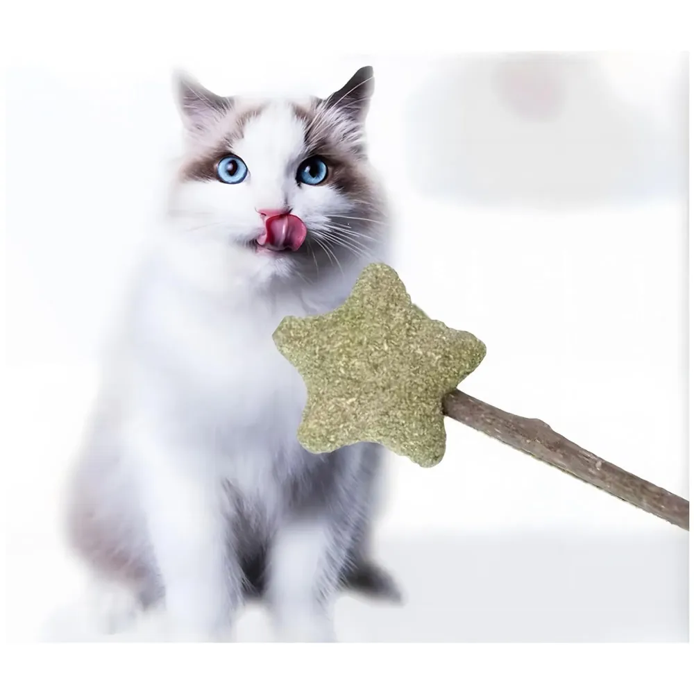 Silvervine Catnip Ball for Cats, Teeth Cleaning Molar Toy, Stick-On Rotating Lollipop Cat Toy for Indoor Cats & Kittens ​