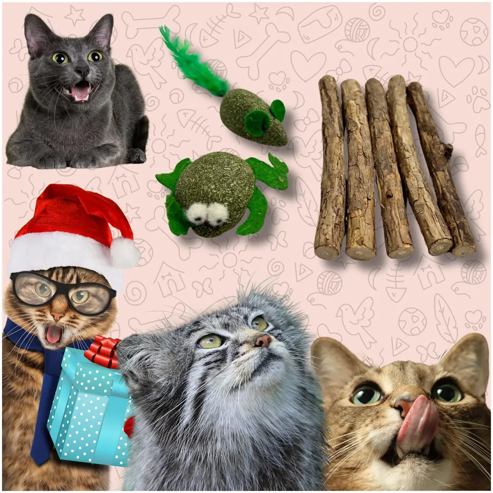 Thick Catnip Sticks 5 Pcs and 2 Catnip Ladoos Kitten Cat Toys Silvervine Teething Toys Molar Suitable for Cats of All Ages Chew Toy.