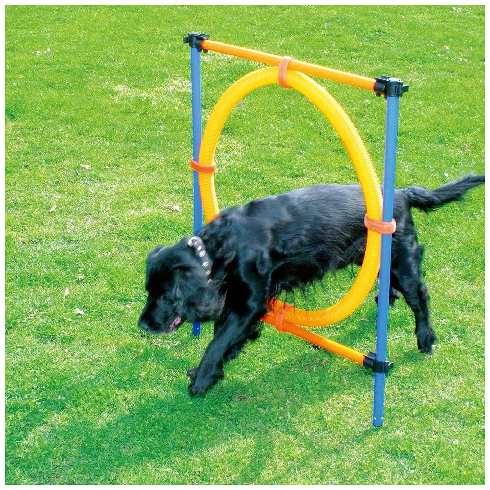 Pet Dog Jump Ring Activity Ring Adjustable for Training and Behaviour - Premium