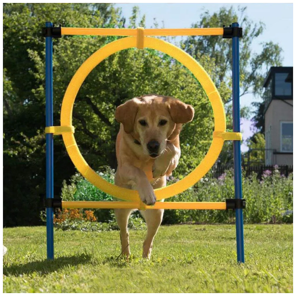 2 in 1 Dog Jump Ring Agility Hurdle Bar Adjustable Height Kit