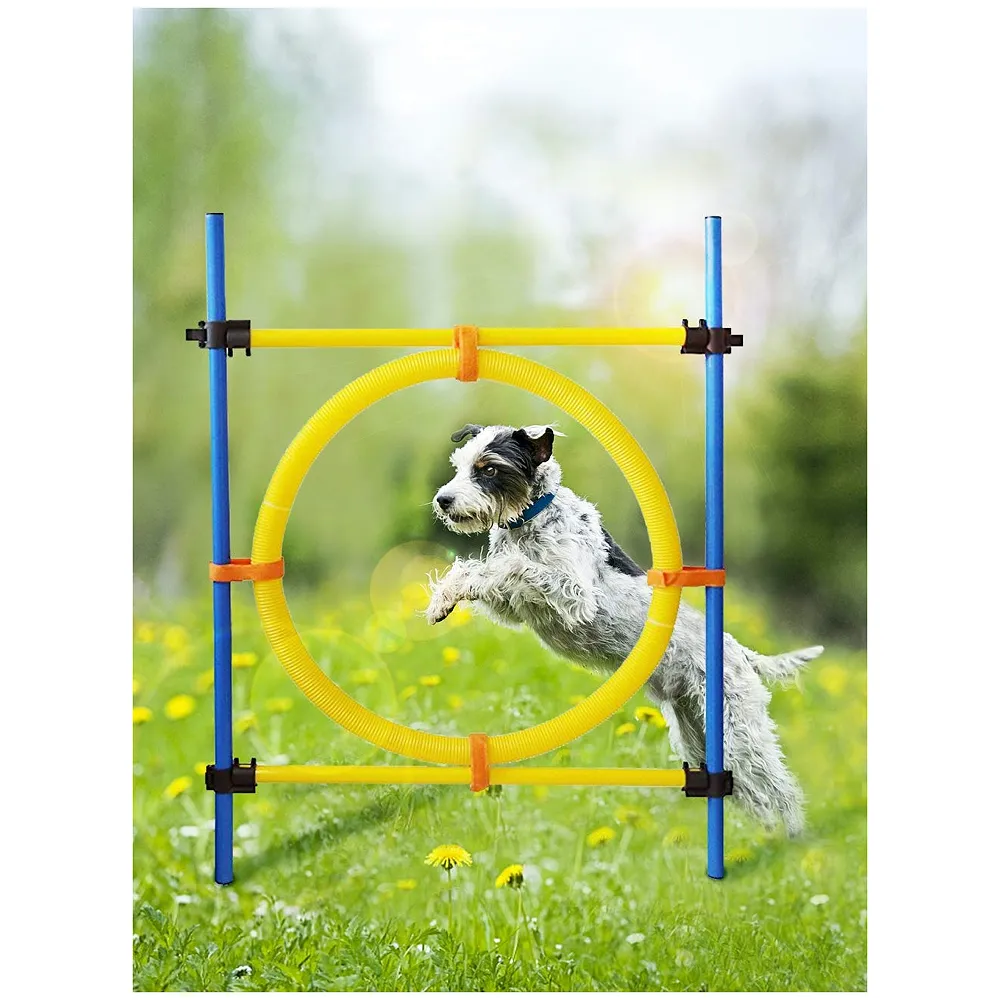 2 in 1 Dog Jump Ring Agility Hurdle Bar Adjustable Height Kit