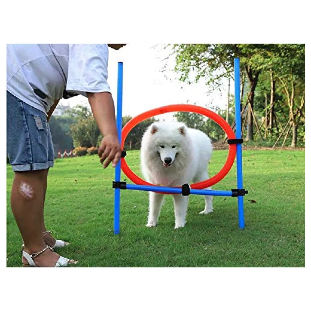 2 in 1 Dog Jump Ring Agility Hurdle Bar Adjustable Height Kit
