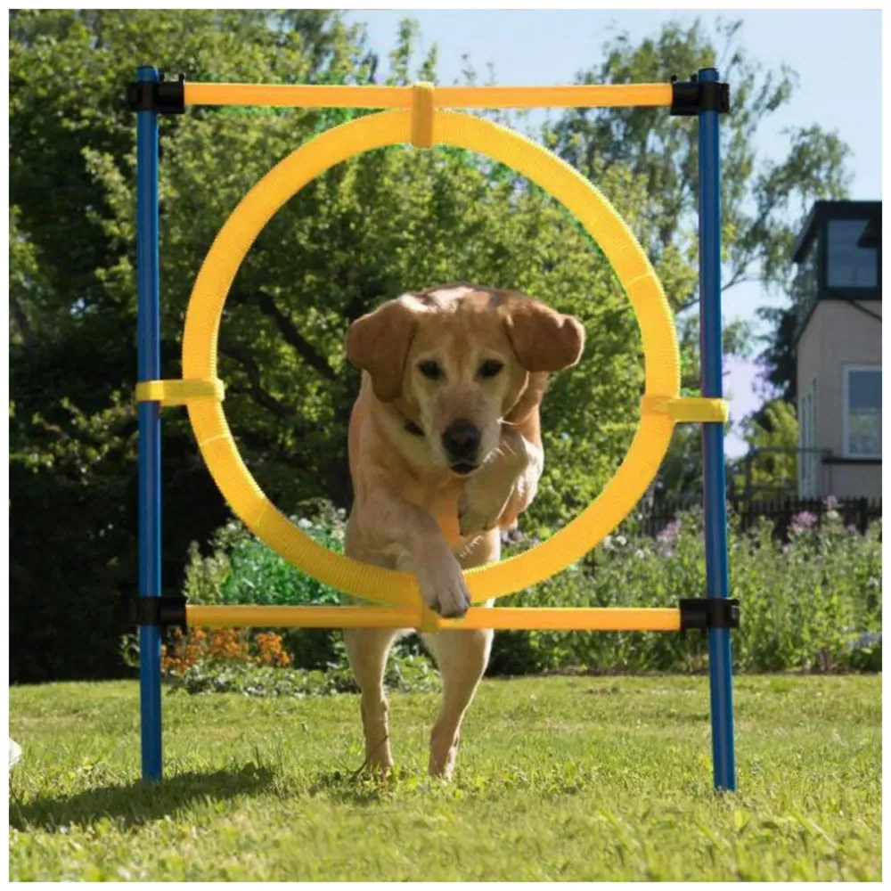 Dog Jump Ring Activity Ring Adjustable for Training and Healthy Life of Pets