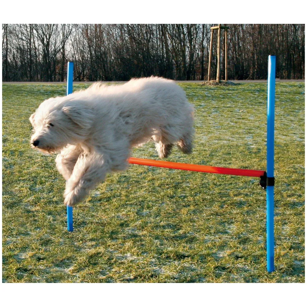 Dog Activity Adjustable Height Hurdle Rods Agility Training Equipment Starter Kit