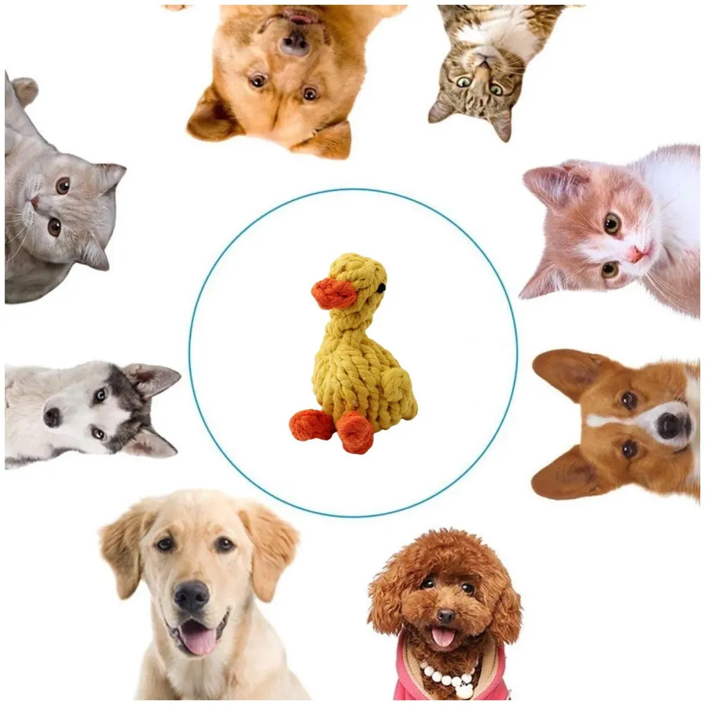 Dog Rope Toy Set Puppy Pet Chew Training Animal Design Durable Interactive Toys Dental Health Teeth Cleaning Toy for Small Medium Dog Biting Toys (Chicken)