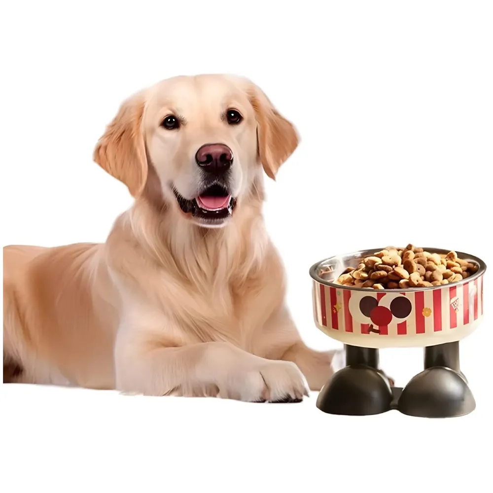 Elevated Pet Bowl with Cute Feet, Stainless Steel, 14 cm Diameter, 10.5 cm Height, Removable Bowl Washable for Big and Small Pets Dogs