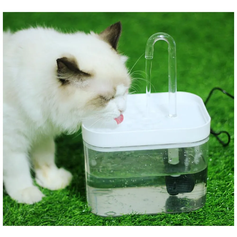 Pet Fountain Automatic Filter Transparent Small Running Water Flow