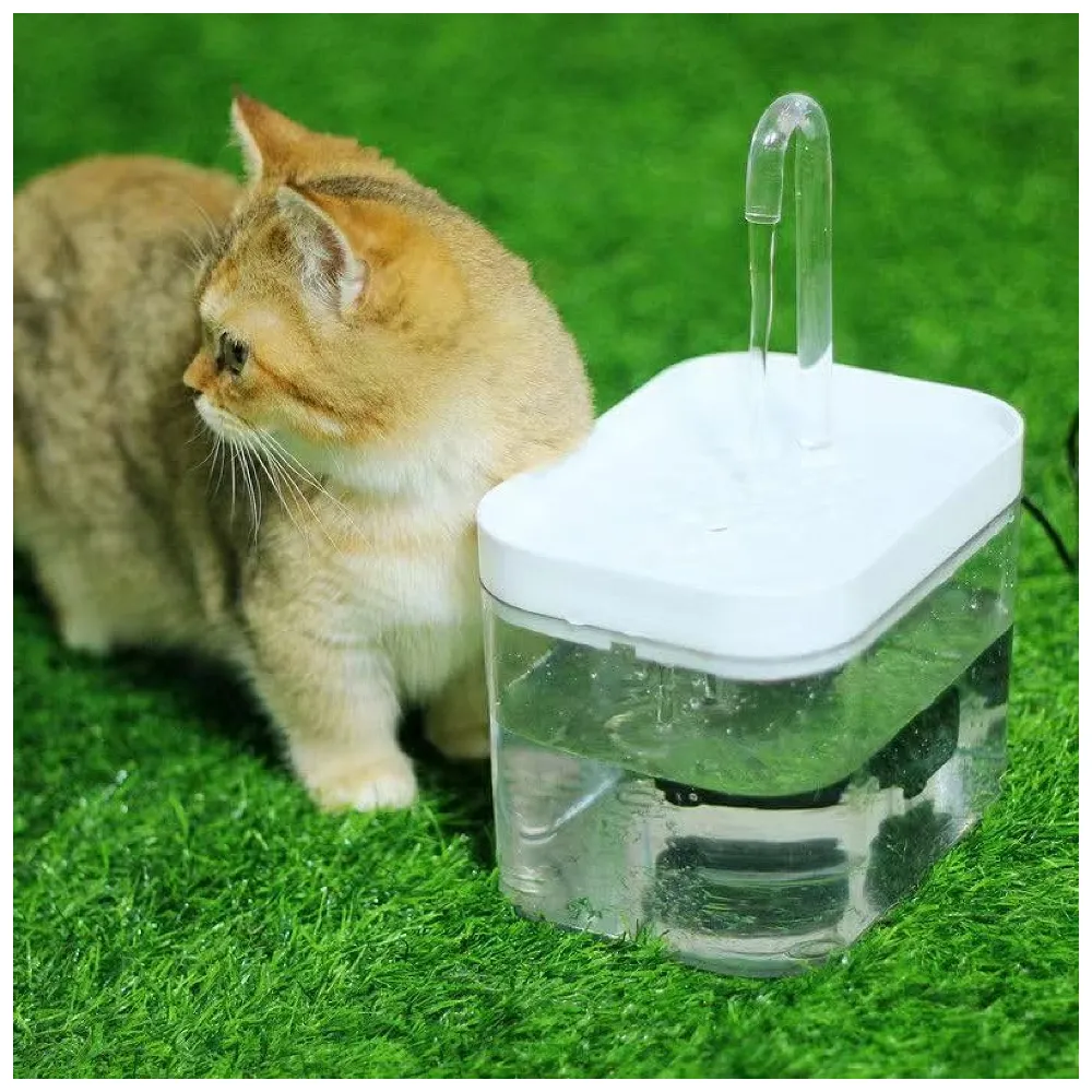 Pet Fountain Automatic Filter Transparent Small Running Water Flow