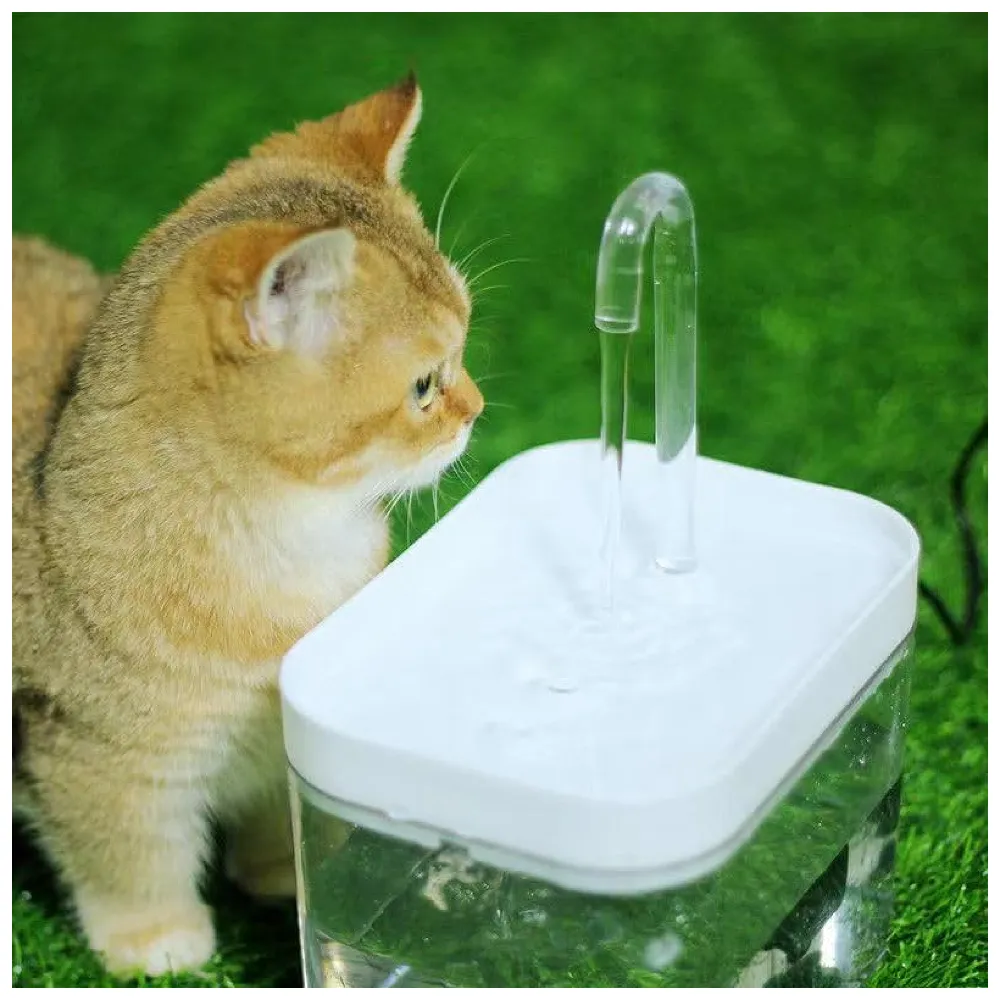 Pet Fountain Automatic Filter Transparent Small Running Water Flow