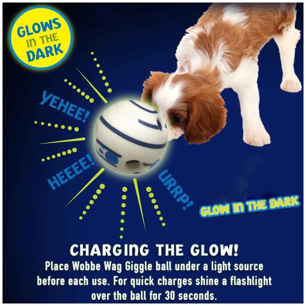 Glow Funny Sound Ball Interactive Dog Toy, Fun Sounds When Rolled or Shaken Funny Sound Ball Laughing Ball for Medium Large Pet Dogs, 5.5 Inch